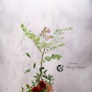 꽃꽂이 초급 이미지