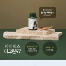 티그린 이미지