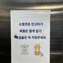 아프리카 동물의료센터 | 삼산동 동물병원 말티즈 코로나&amp;켄넬코프1,2차 접종 후기 [아프리카 동물의료센터]