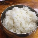 돼지병장 이미지