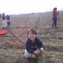 예닮농장 이미지