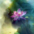 Lotus of Heart (마음의 연꽃) / Wang Sheng Di/수정금 연주 이미지
