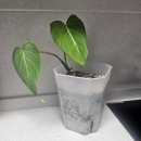 당정역로 이미지