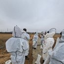 오공농장 이미지