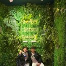 커낼로288번길 이미지