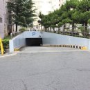 개나리아파트 주변 이미지