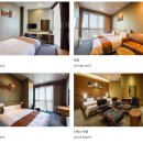 도미인 서울 강남 이미지