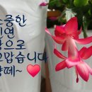 《국보「훈민정음해례본」과 안동과의 인연》 이미지