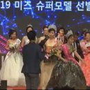 미즈헤어라인 이미지
