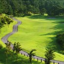 플라자C.C 이미지