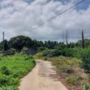 오조리-7 이미지