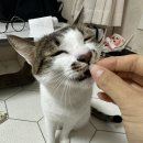 카페아띠랑