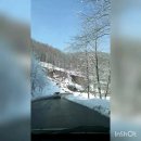 소백산농특산물판매장 | 단양 소백산 철쭉제, 인기이유 후기