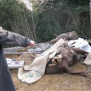 진사슴농장 이미지