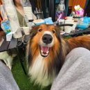 농협관악지점 | 신림역파티룸, '코드 187' 아는 사람만 오세요