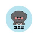 코르륵 네이버블로그