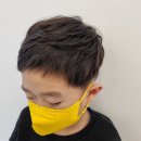 도꼬시에 이미지