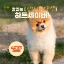 편한약국 이미지