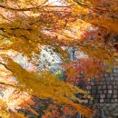 GS25통영용화사점 | 통영 여행 필수 코스, 용화사에서 가을 단풍과 함께하는 고요한 시간