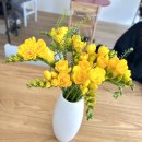 수다펫 | [보문동 모안카페(Moann)] 반려동물 동반 가능한 감성 카페 | 웰컴펫 카페 솔직 후기