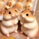 이** 이미지