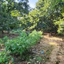 운암리농장 이미지