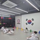 한국체대 태권도장 이미지