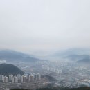 용안행정사 이미지