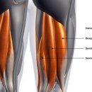 굿모션 PT 이미지