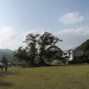 이서중학교 Daum카페