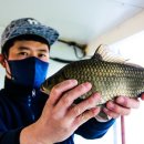 차평낚시터 이미지