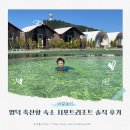 시포트리조트 | 아이랑 영덕 축산항 숙소 시포트리조트 솔직 후기