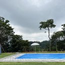 스테이그린 이미지