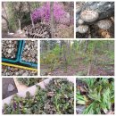 골짜기농장 이미지