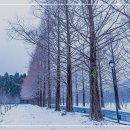 위드유정신건강의학과의원 이미지