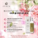 토닉 이미지