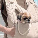 니드펫