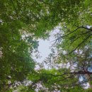 아람펜션 | 문경펜션/신축펜션 '아람펜션' 솔직후기