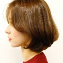 련 Daum카페