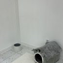 까까주까 이미지