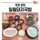 일월돼지국밥 | 창원 돼지국밥 맛집 일월돼지국밥에서 수육백반 혼밥 내돈내산