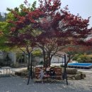 테이스트캠프 이미지