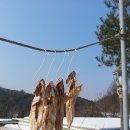 둔내세탁소 이미지