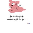 우리 강아지들의 카밍시그널! 이미지