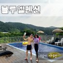 블루엘스파&amp;풀 | 가평 단독펜션 수영장 풀빌라 단체 가족여행 블루엘펜션, 내돈내산 벌써 5번째 방문