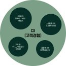 사단법인 한국동물구조관리협회 | CS에서 CX로: 연봉 앞자리 두 번 바꾼 7년 차의 공부법 (신입편)