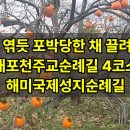 “굴비 엮듯 포박당한 채 끌려갔다” 내포천주교순례길 4코스, 해미국제성지순례길 이미지
