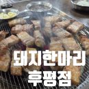 후석로326번길 L | 한림대 후평동 고기집 돼지한마리 춘천 삼겹살 맛집 찐후기