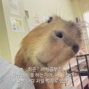 도림로139길 이미지