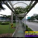 직지농장 이미지